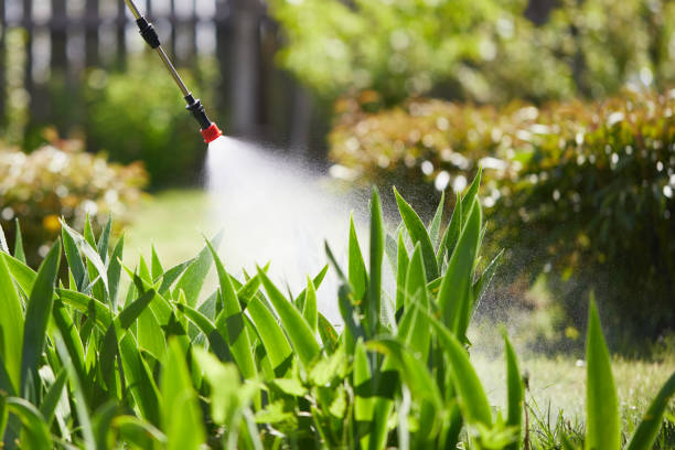 Tamper-Resistant Bait Stations for Rodents in Tawas City