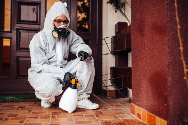 Attic and Crawl Space Rodent Treatment in Tawas City